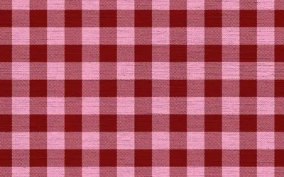 LE MOTIF VICHY : DE L’ICONIQUE NAPPE DE PIQUE-NIQUE À NOS LOOKS PRÉFÉRÉS